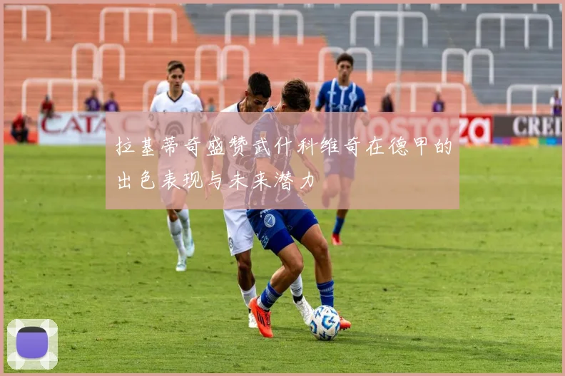 拉基蒂奇盛赞武什科维奇在德甲的出色表现与未来潜力